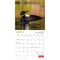 Canadian Geographic The Loon OFFICIAL | 2026 12 x 24 Inch (Hanging) Monthly Square Wall Calendar | Foil Stamped Cover
